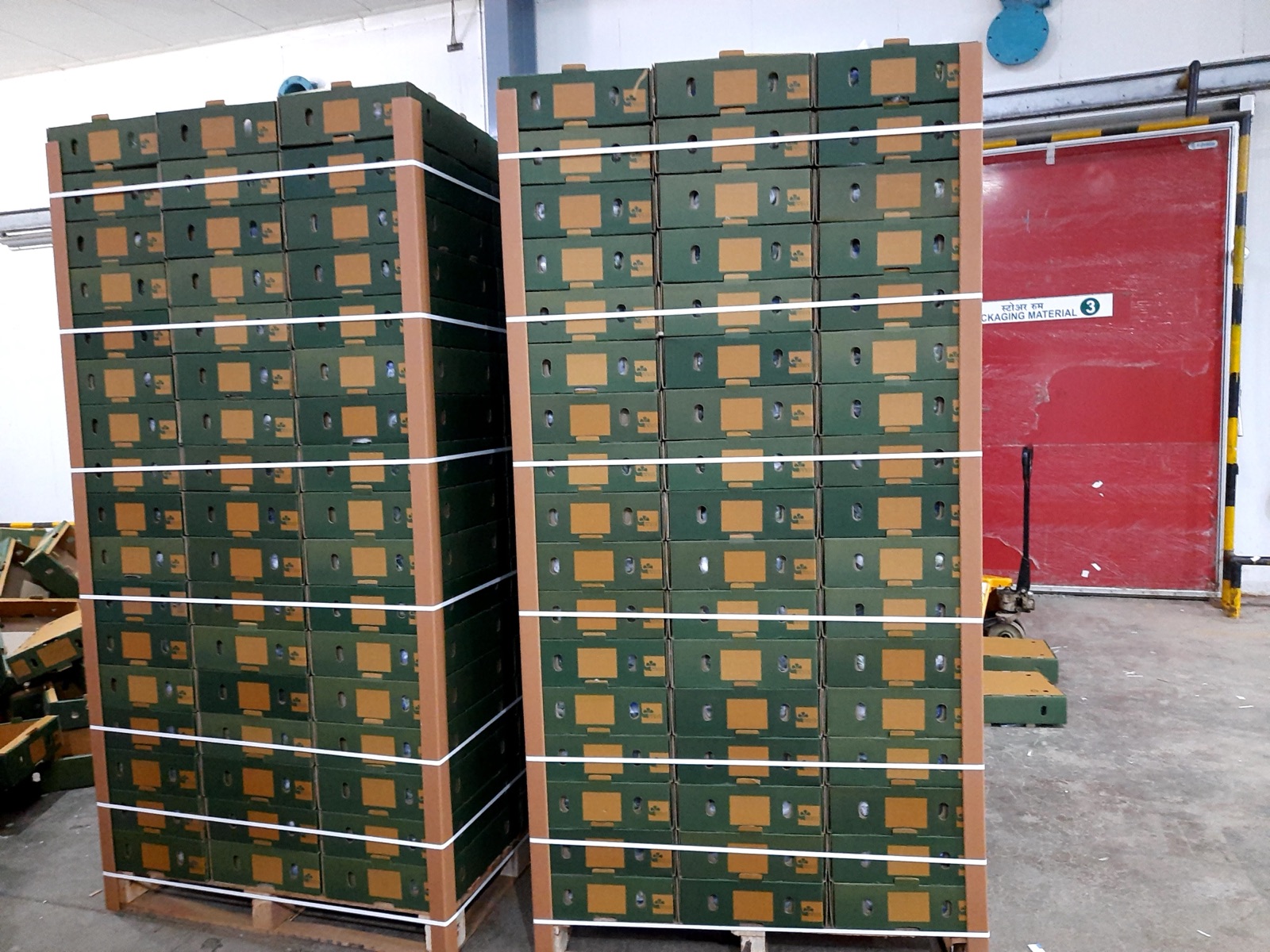Strapped pallets beside the pre-cool room, before stuffing.