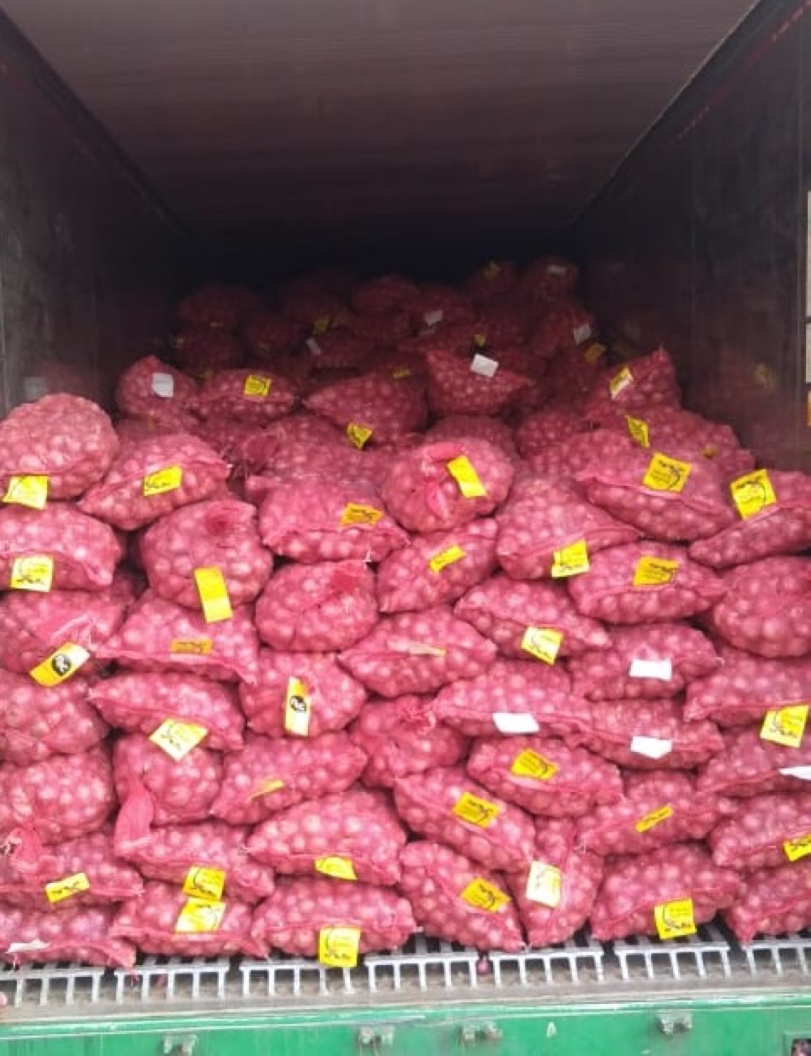 Mesh-bagged red onions filling a container for export.
